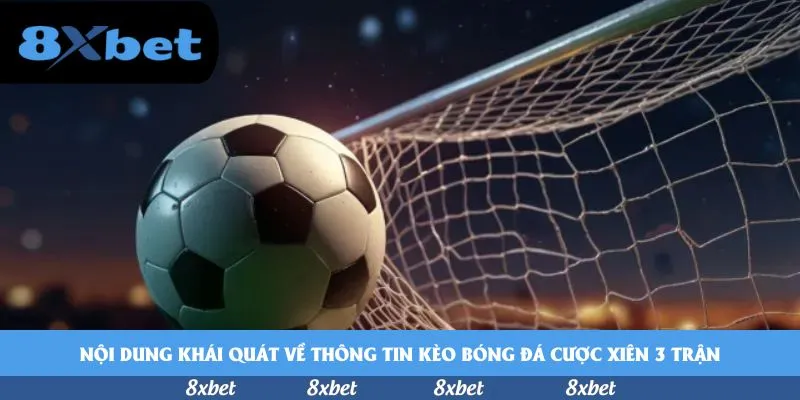 8xbet - rikvip xổ số