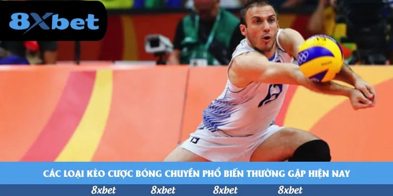 8xbet - tỷ lệ chấp trong bóng đá
