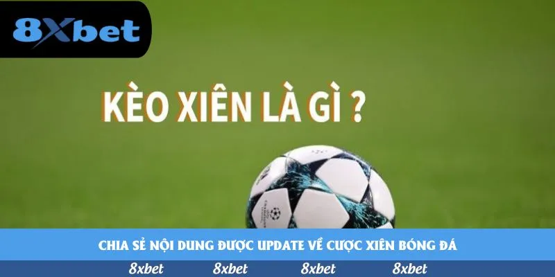 8xbet - trang web cá độ bóng đá uy tín